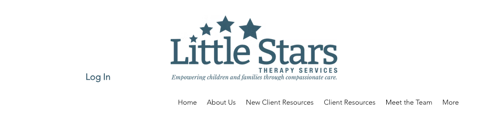 Little Stars Therapy Services